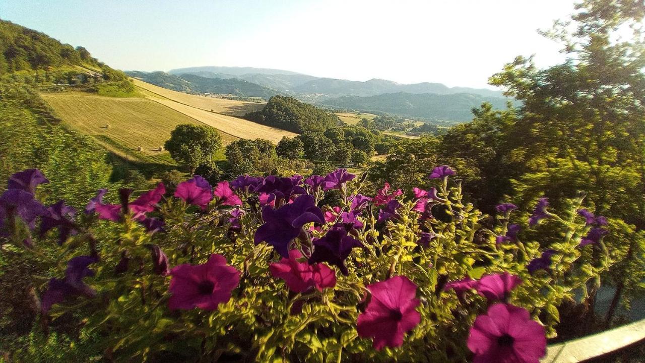 ノチェーラ・ウンブラ Agriturismo Le Francescheヴィラ エクステリア 写真